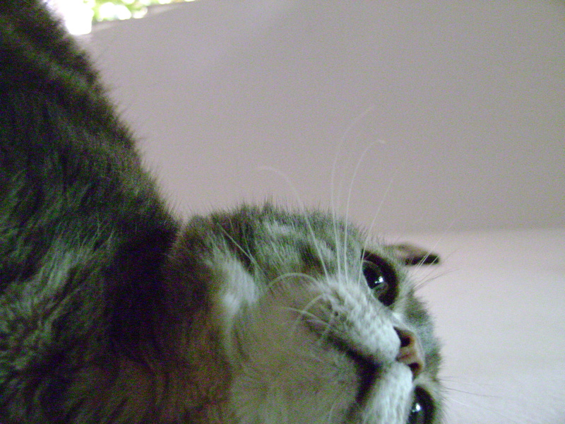 05_25.jpg