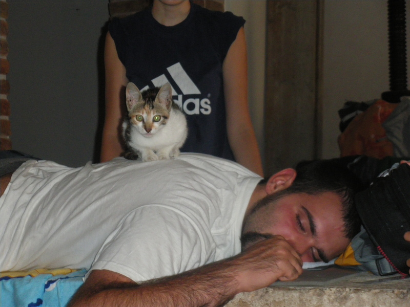 08_06.jpg