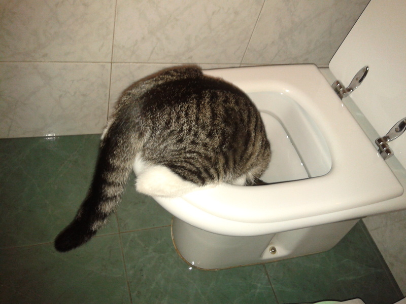 12_01.jpg