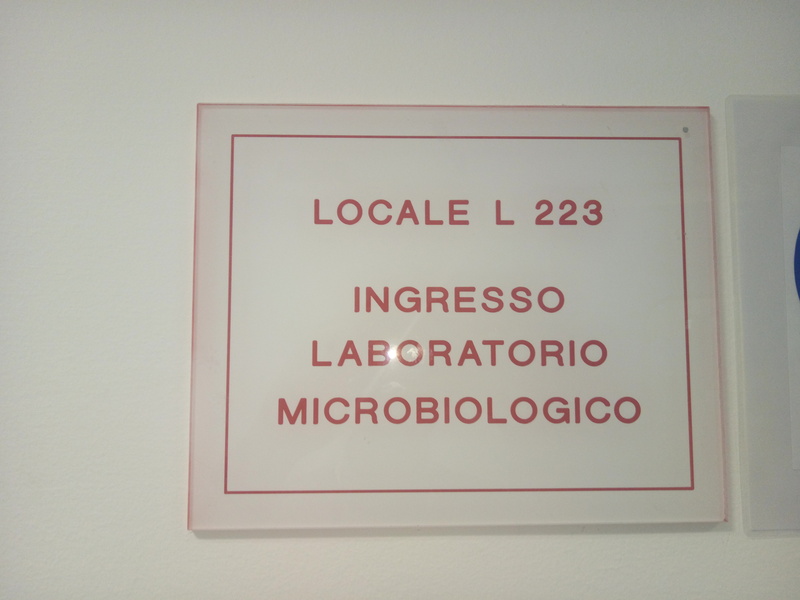 08_05.jpg