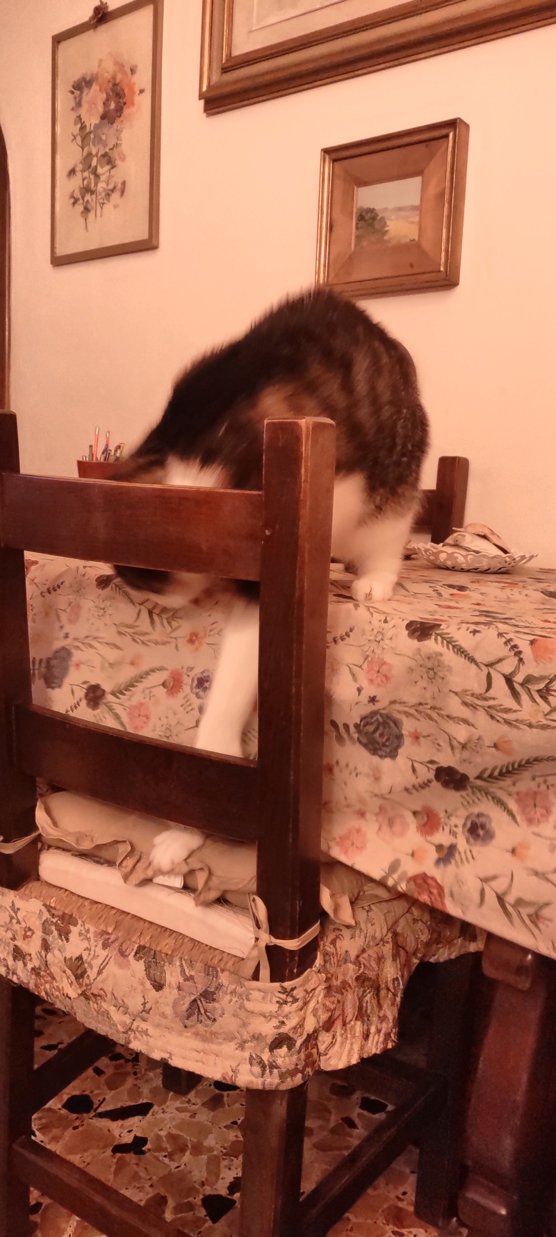 11_03.jpg