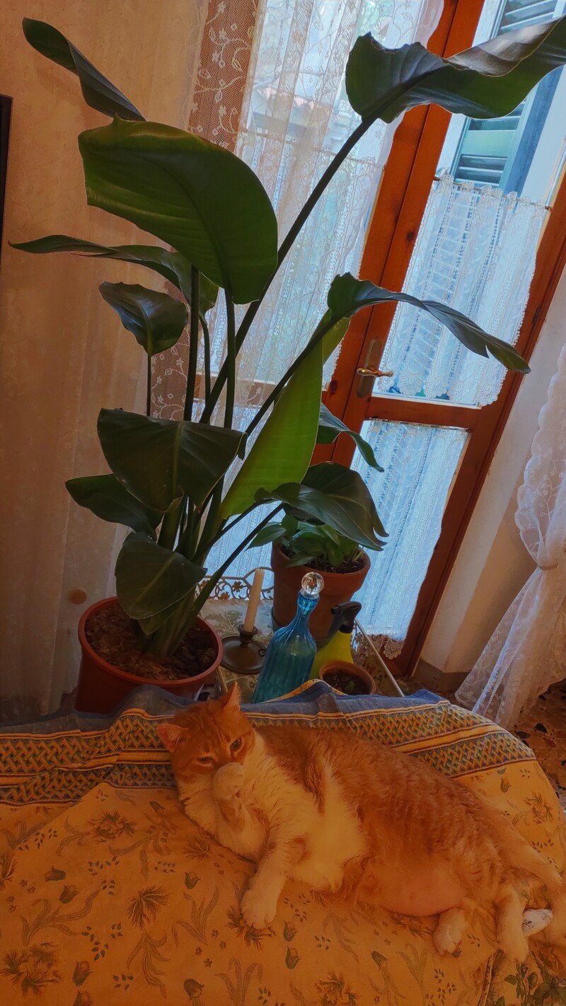 03_10.jpg