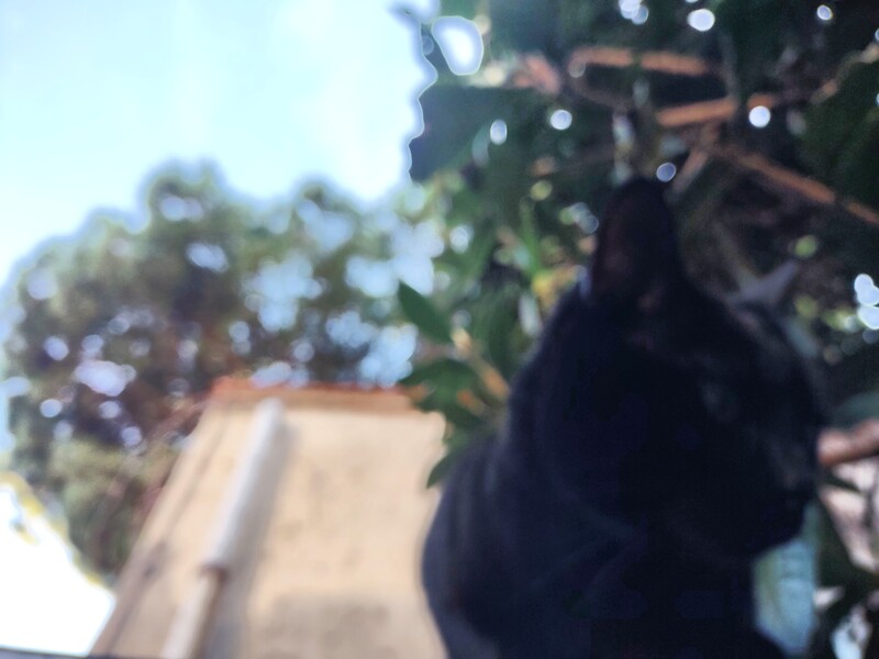 01_10.jpg