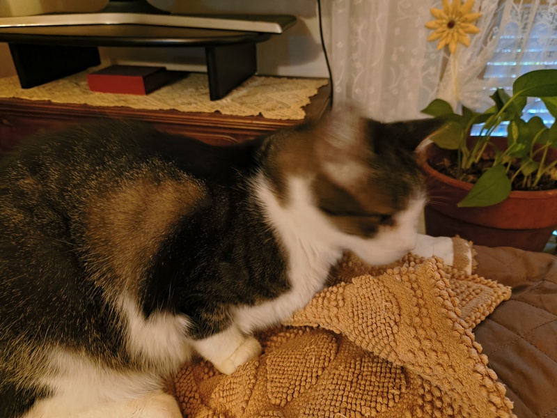 09_10.jpg